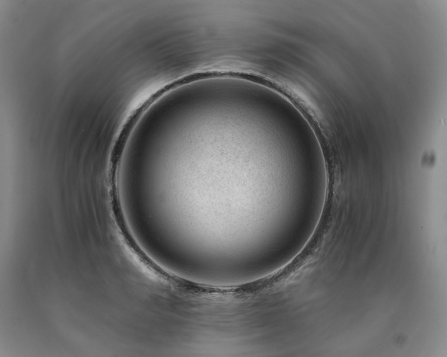X0000090880990200707271308