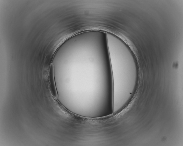X0000090880993200707271307