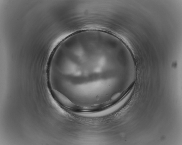 X0000090880995200707271307