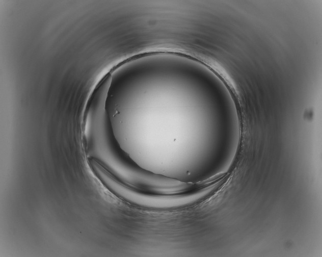X0000090880996200707271307
