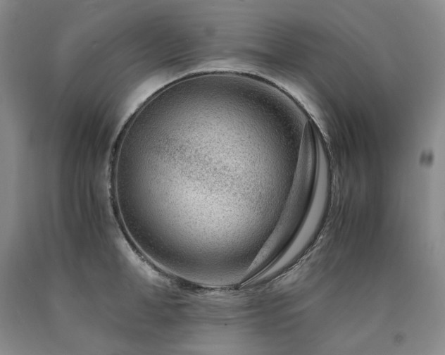 X0000090880998200707271307