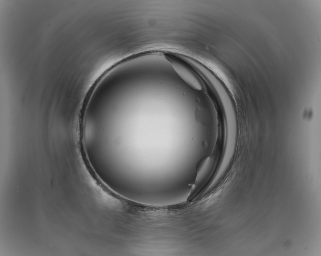X0000090880999200707271307