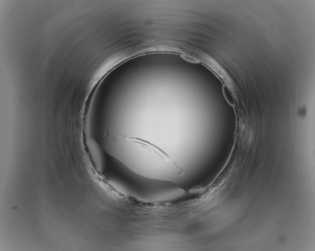 X0000090881002200707271307