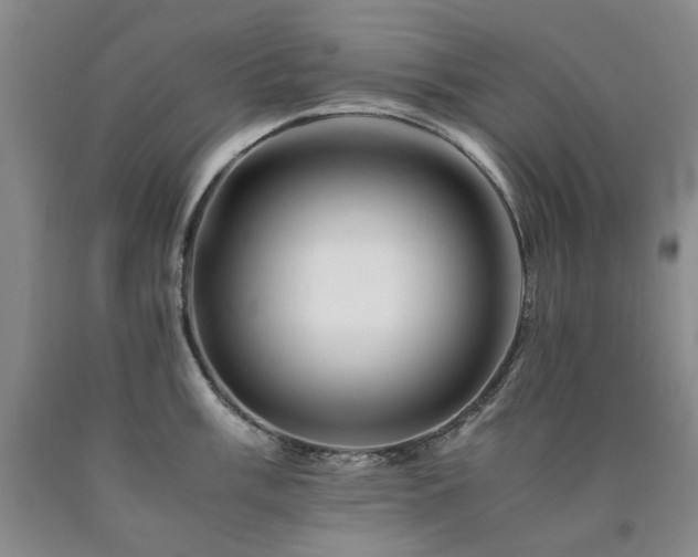 X0000090881003200707271307