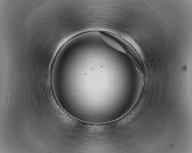 X0000090881004200707271307