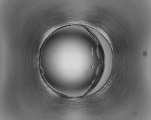 X0000090881005200707271307