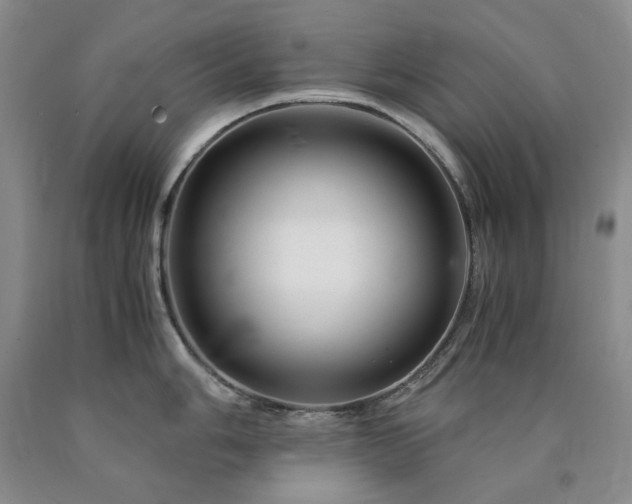 X0000090881006200707271307