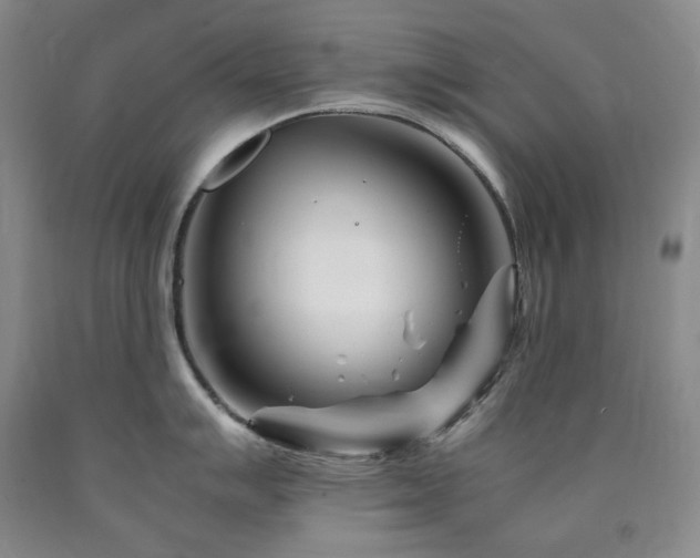 X0000090881007200707271307