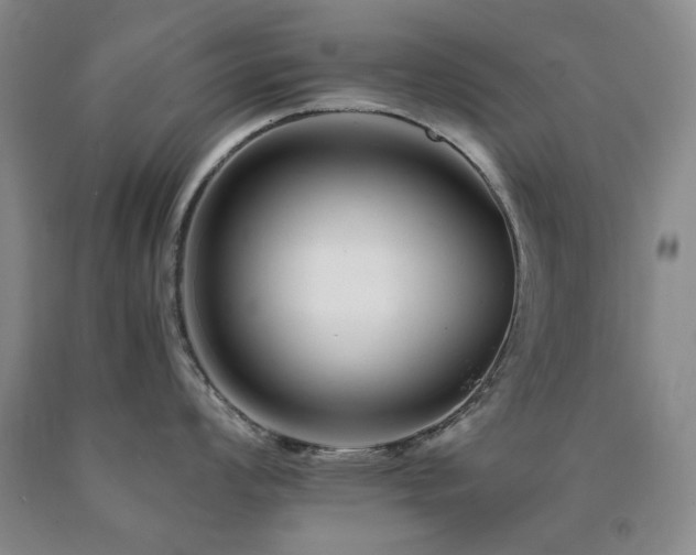 X0000090881008200707271307