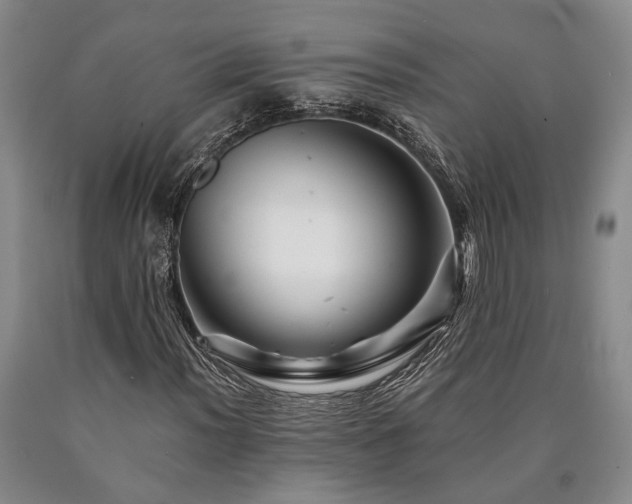 X0000090881012200707271307
