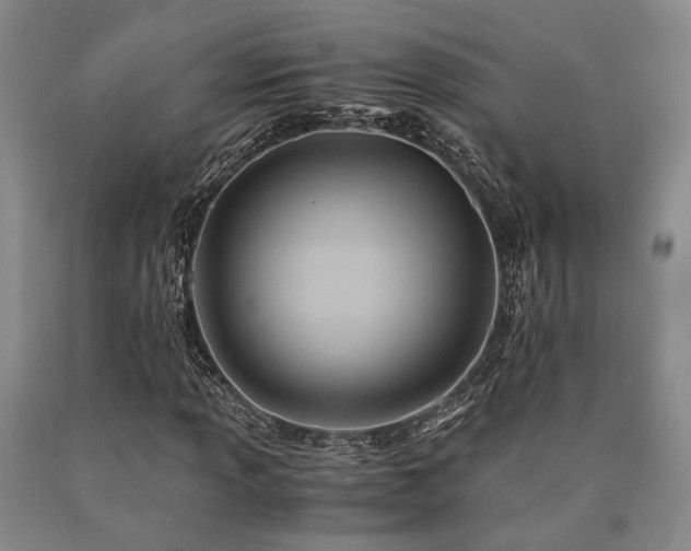 X0000090881013200707271307