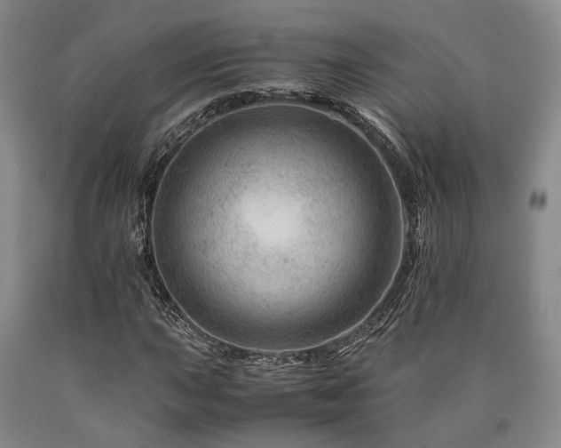 X0000090881015200707271307