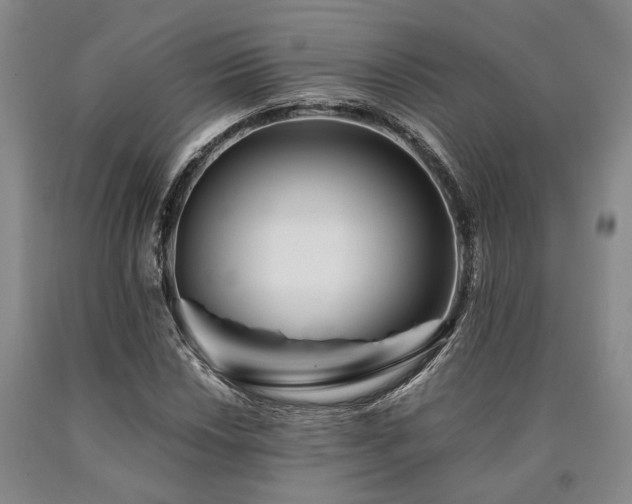 X0000090881018200707271307