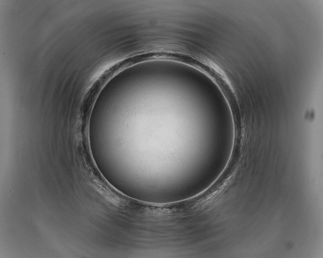 X0000090881019200707271307