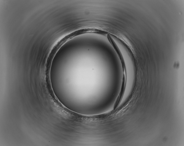 X0000090881020200707271307