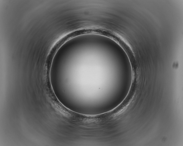 X0000090881021200707271307