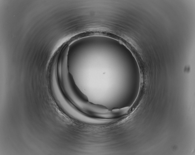 X0000090881022200707271307