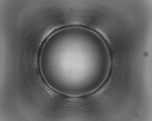 X0000090881023200707271307