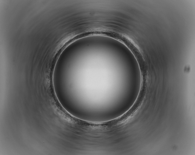 X0000090881025200707271307