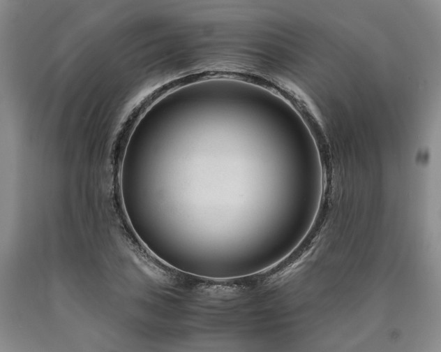 X0000090881027200707271307