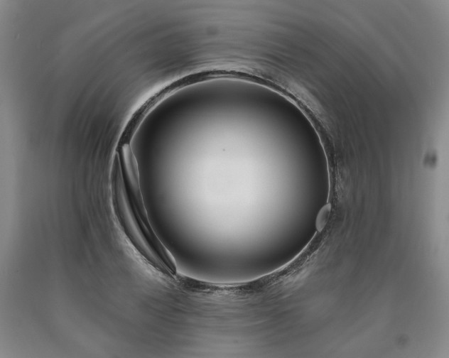 X0000090881028200707271307