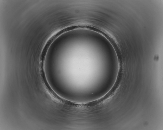 X0000090881029200707271307