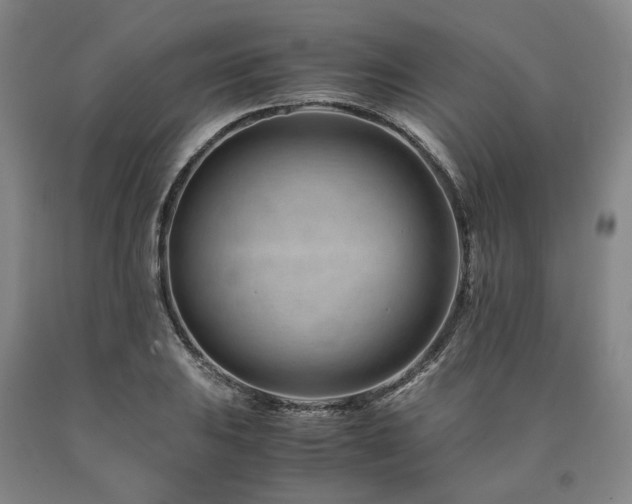 X0000090881031200707271307