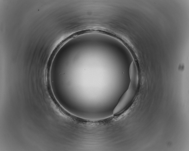 X0000090881032200707271307