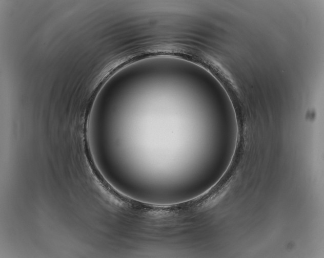 X0000090881033200707271307