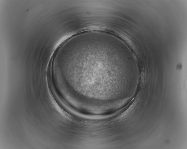 X0000090881034200707271307