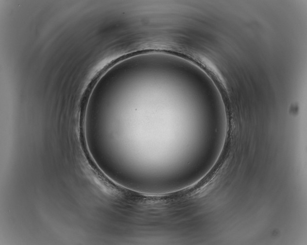 X0000090881035200707271307