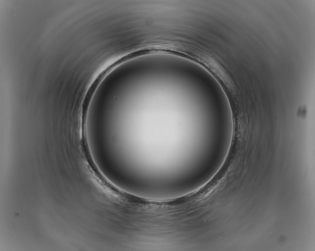 X0000090881036200707271307