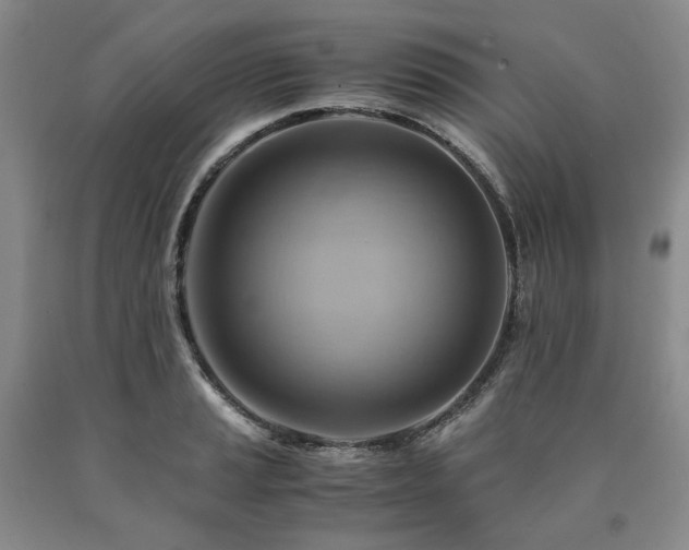 X0000090881037200707271307