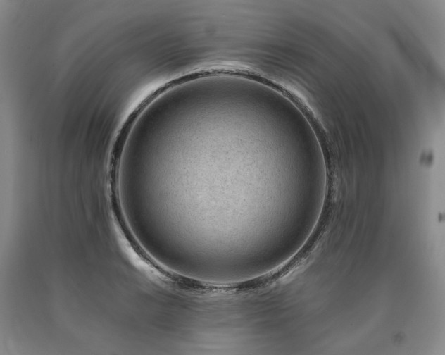 X0000090881038200707271307