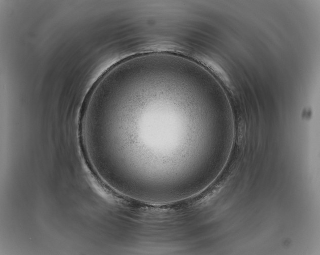 X0000090881039200707271307