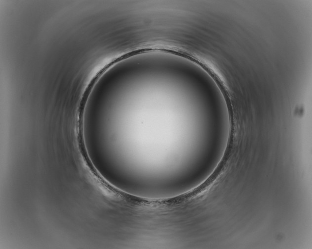 X0000090881040200707271307