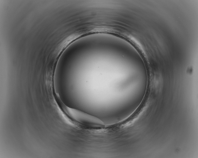 X0000090881041200707271307