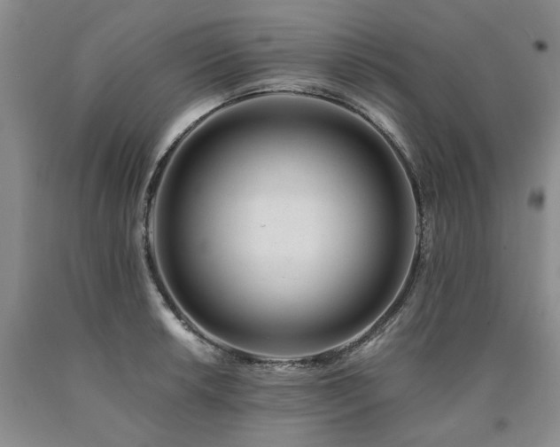 X0000090881042200707271307