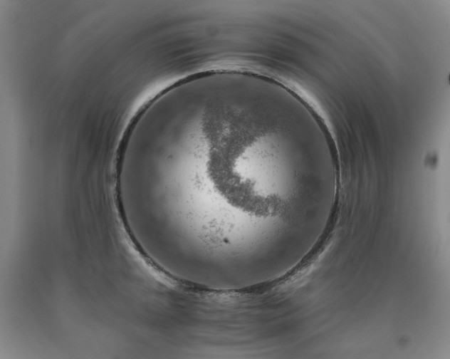 X0000090881045200707271307