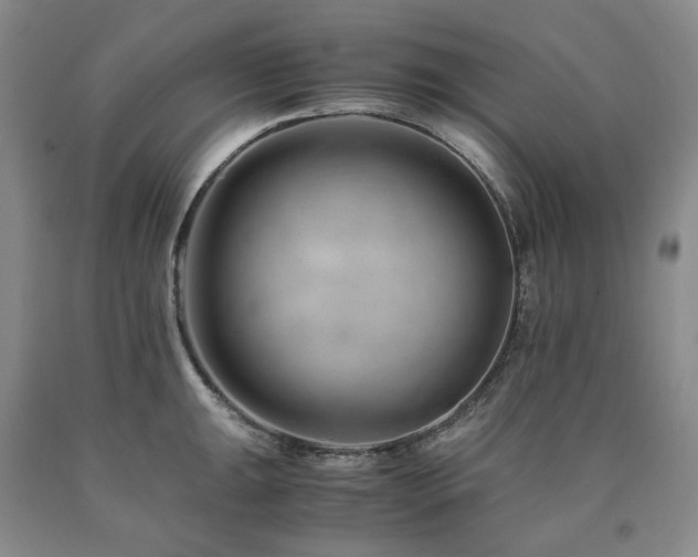 X0000090881047200707271307