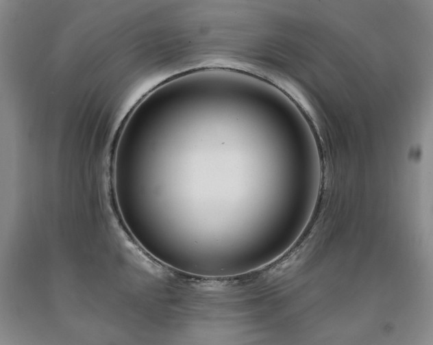 X0000090881048200707271307