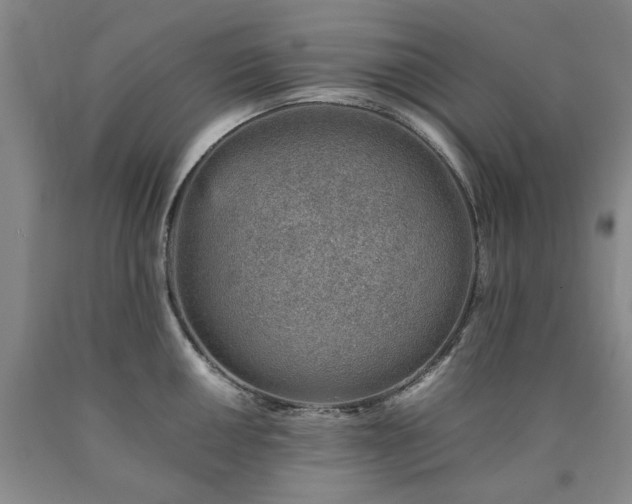 X0000090881050200707271307