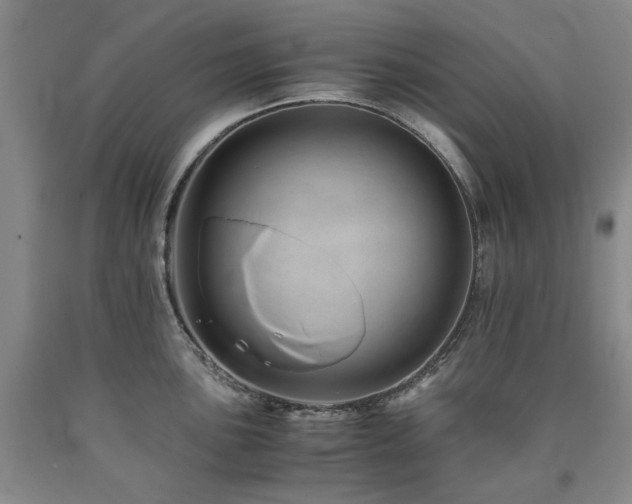 X0000090881051200707271307