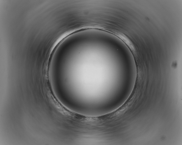 X0000090881052200707271307