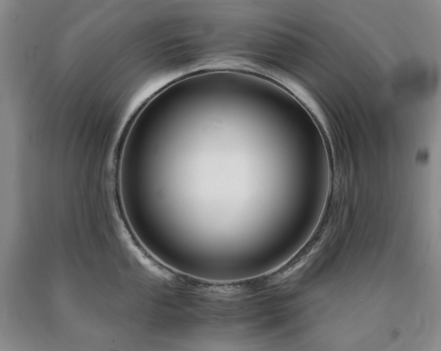 X0000090881053200707271307
