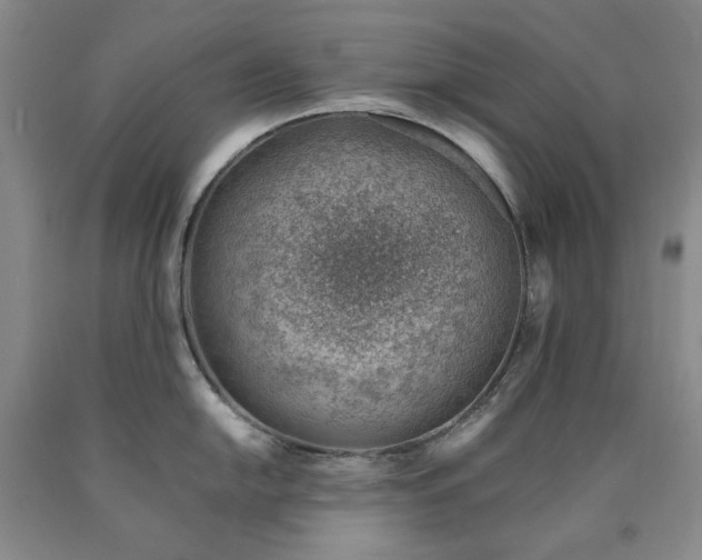 X0000090881054200707271307
