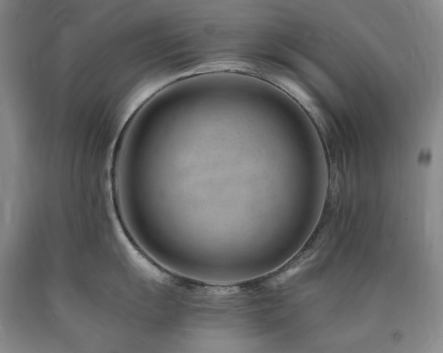 X0000090881055200707271307