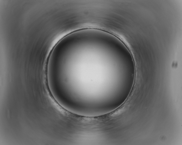 X0000090881056200707271307
