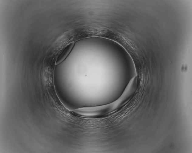 X0000090881058200707271307