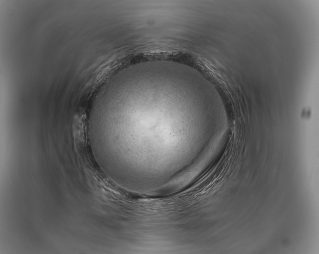 X0000090881059200707271306